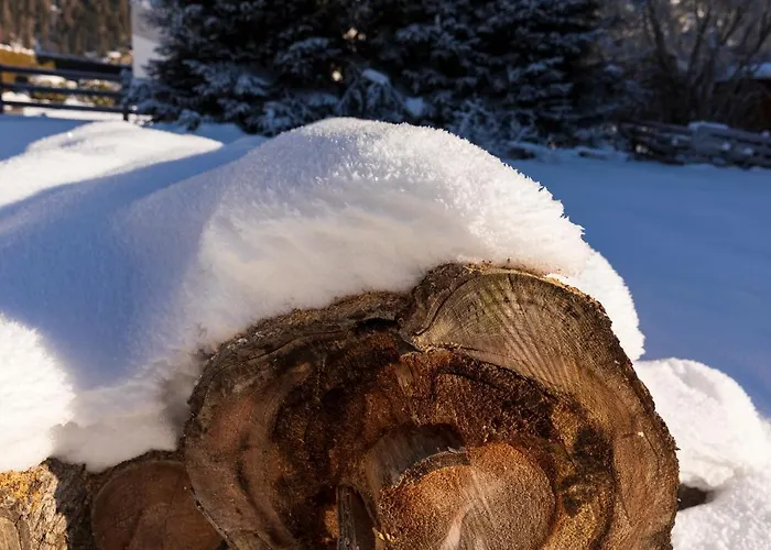 Vakantiehuis Der Kleine Stadl *